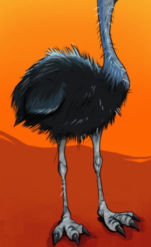 Illustration Design by Wolfheart for Pilbara Wildlife Carers Association Inc | Design: #25621505