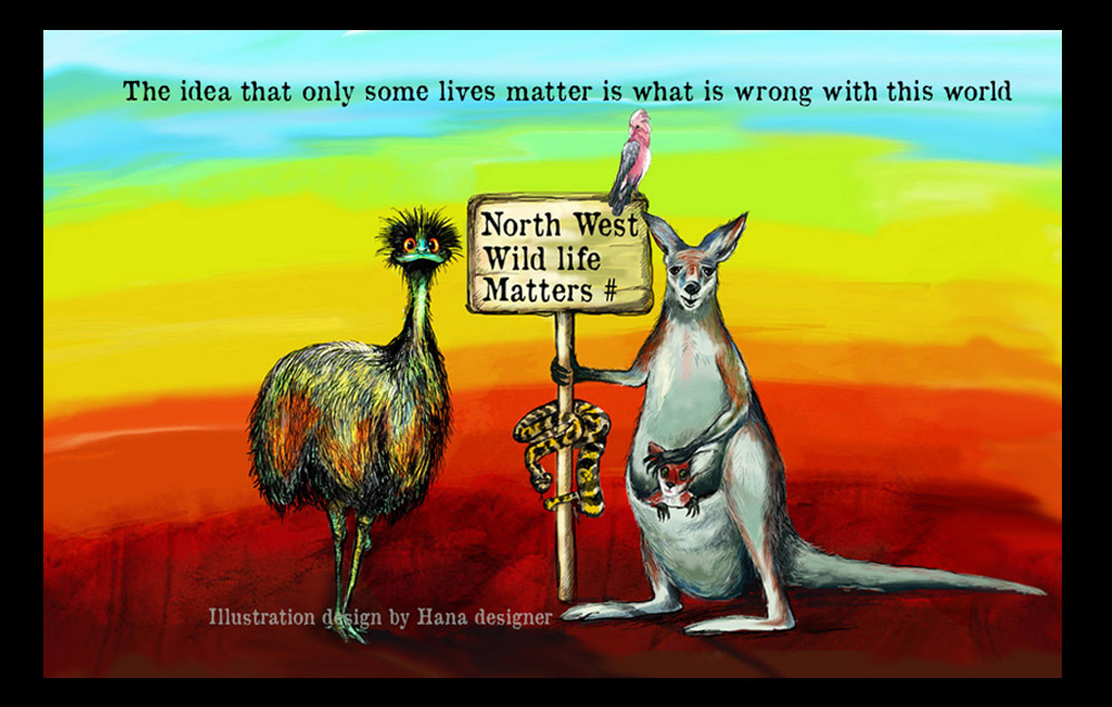Illustration Design by Hana for Pilbara Wildlife Carers Association Inc | Design #25614939