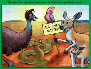 Illustration-Design von kaiser77 für Pilbara Wildlife Carers Association Inc | Design #25599833