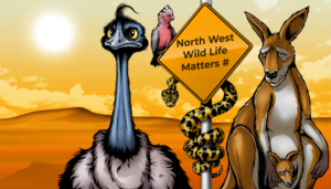 Illustration Design by Scelatio for Pilbara Wildlife Carers Association Inc | Design: #25630105