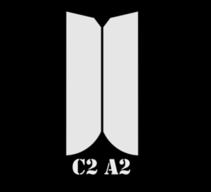 Design de Logo par Yacine Tutmicy pour C2 A2 AG | Design : #25596886