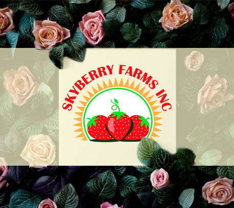 Logo Design by Wonderful design for Cielo Vista Farms  | Design #25598778