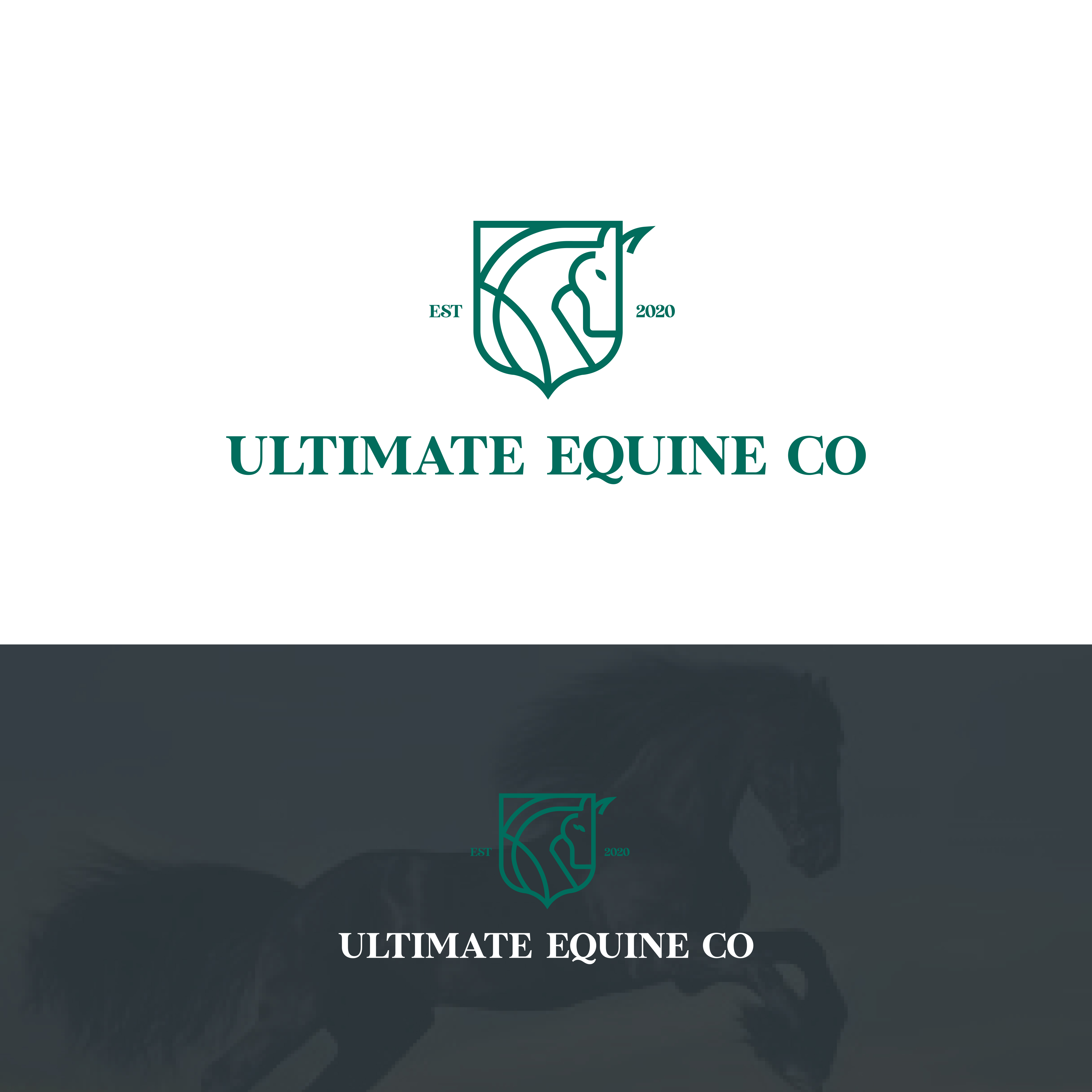 Logo-Design von emmanuel 23 für dieses Projekt | Design #25593914