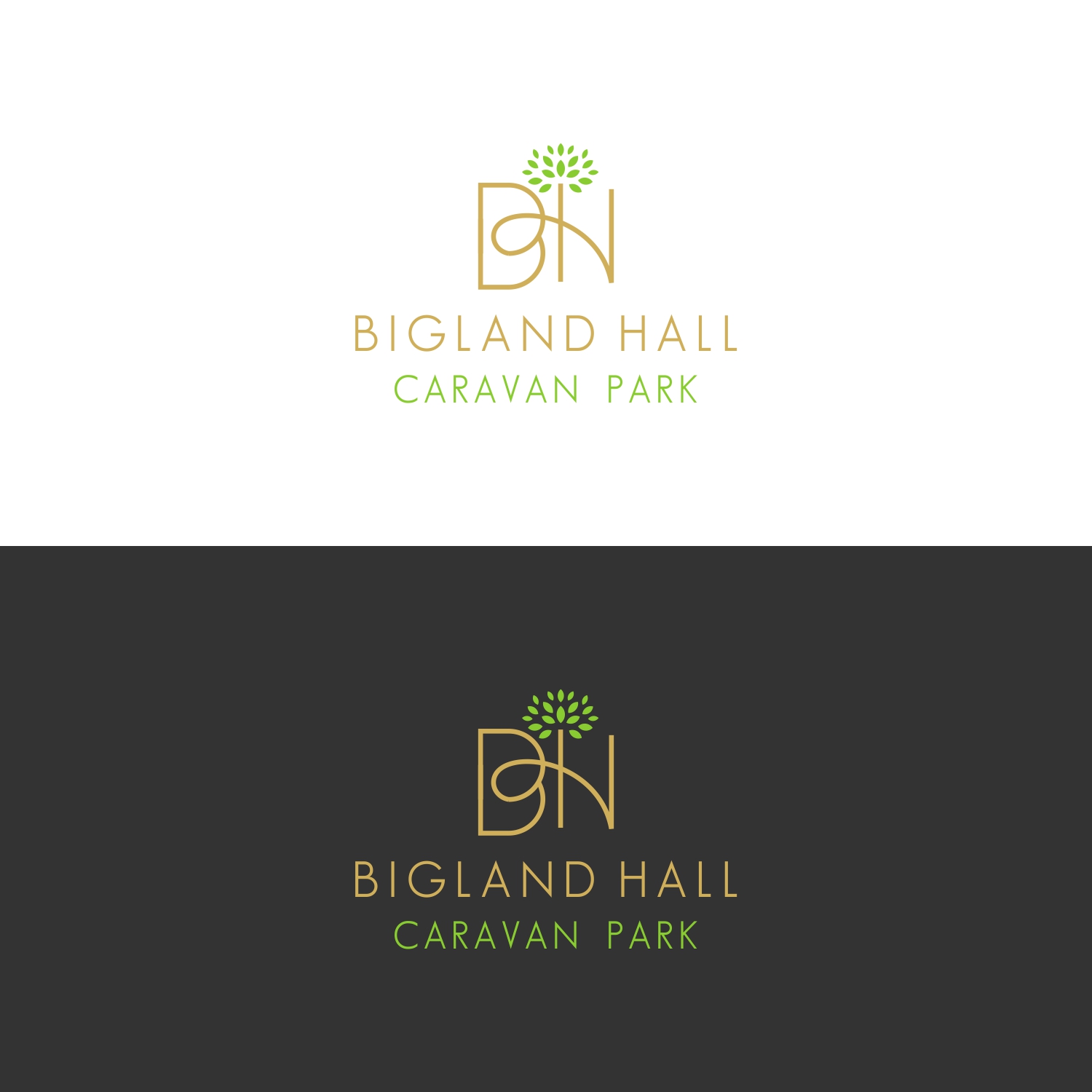 Diseño de Logo por GVisions para este proyecto | Diseño #25628412