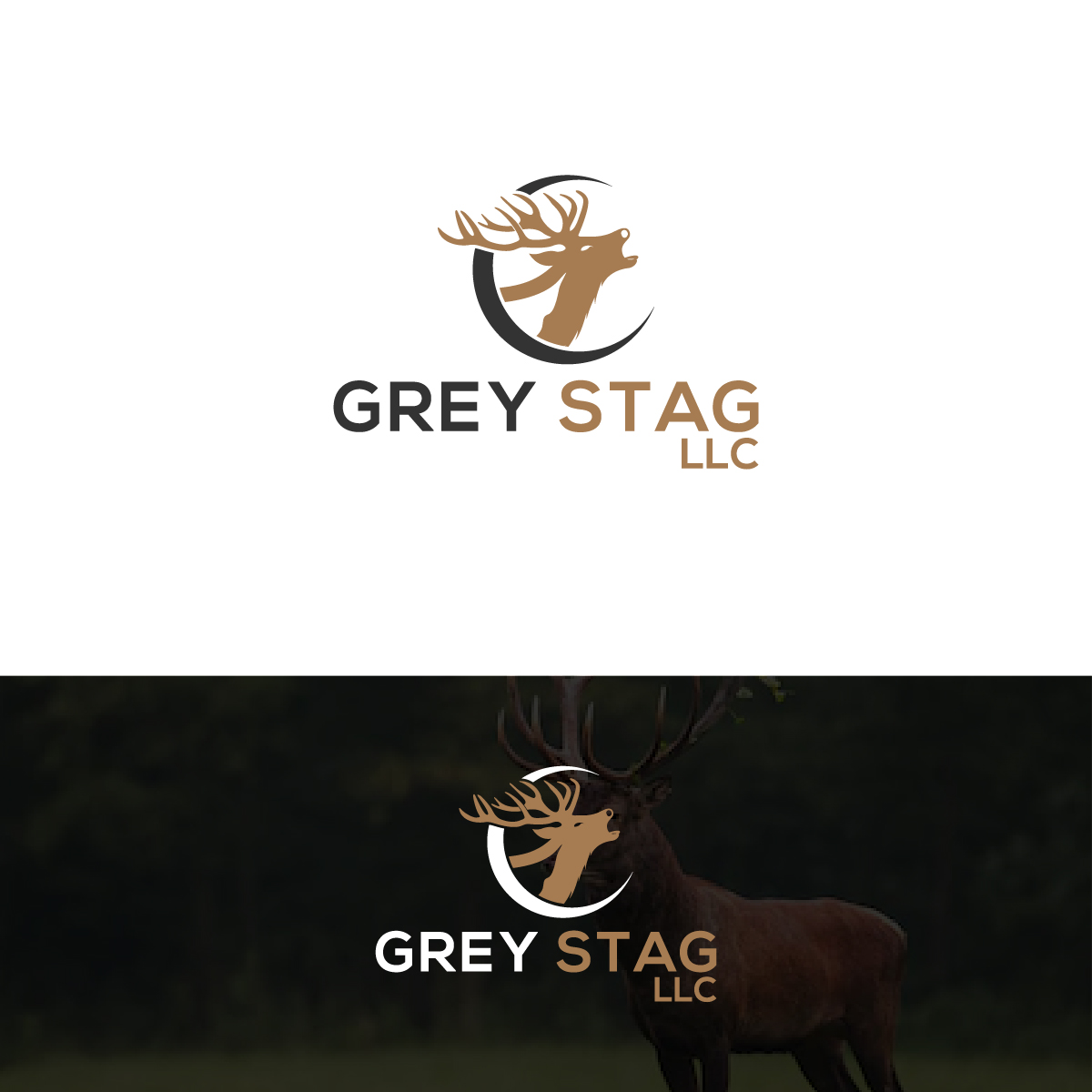 Logo Design by Deziners Zone for this project | Design #25598893