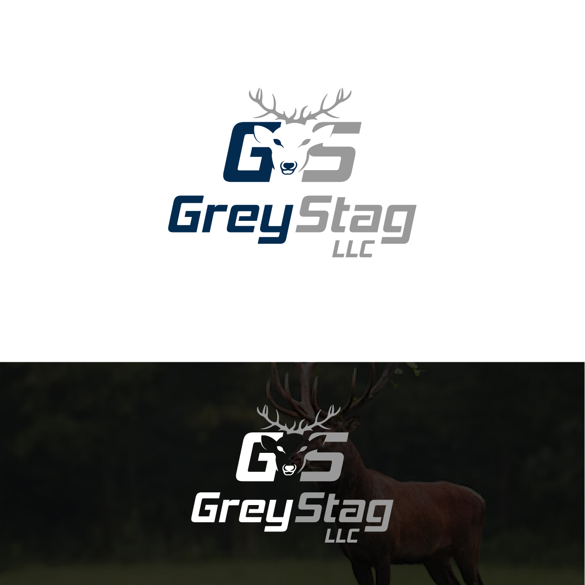 Logo Design by Deziners Zone for this project | Design #25598894