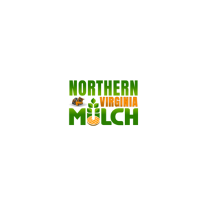 Logo Design by cha9ori