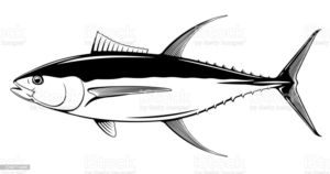 Stationery Background/Wallpaper Pattern Design out of Pelagic Fish  | Grafik-Design von sabbir049