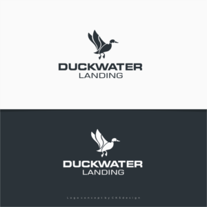 Duckwater Landing | Logo-Design von CKS d e s i g n