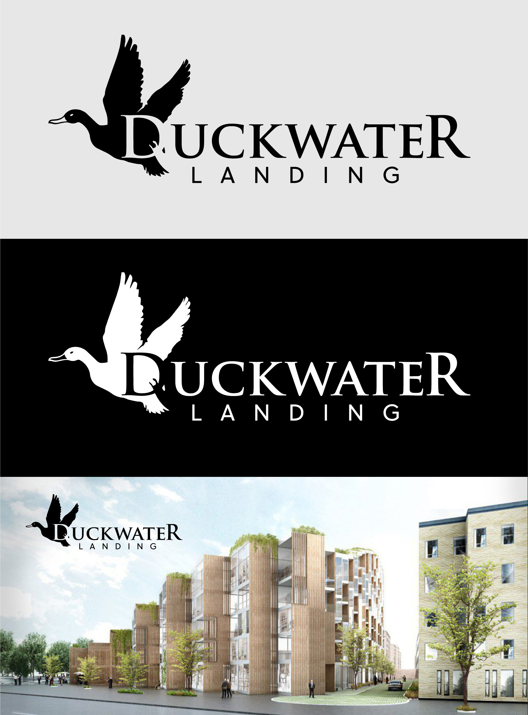 Logo Design by ANS CREATION for this project | Design #25632922