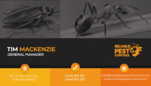 Business Card Design by sajjad 26