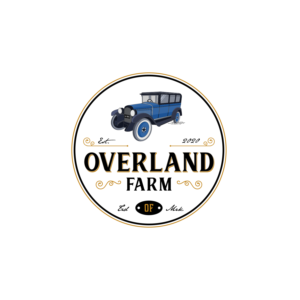 Logo Design by Ankit Bhattarai for this project | Design: #25608879