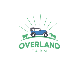 Logo Design by Adnan Ahammed 2 for this project | Design: #25607436