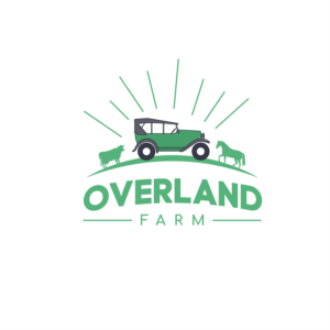 Logo Design by Adnan Ahammed 2 for this project | Design: #25609159