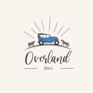 Logo Design by Adnan Ahammed 2 for this project | Design #25618391