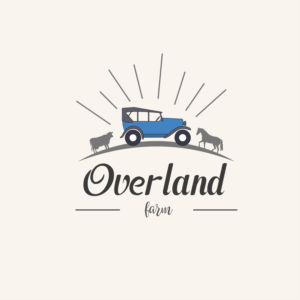 Logo Design by Adnan Ahammed 2 for this project | Design: #25632616