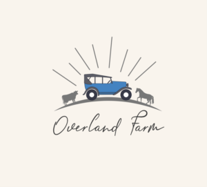 Logo Design by Adnan Ahammed 2 for this project | Design: #25637796