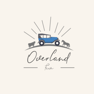 Logo Design by Adnan Ahammed 2 for this project | Design: #25637797