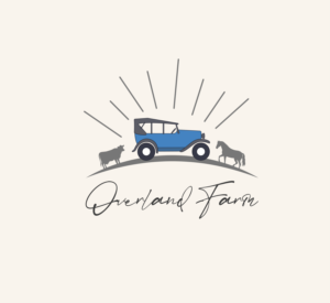 Logo Design by Adnan Ahammed 2 for this project | Design: #25637802