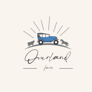 Logo Design by Adnan Ahammed 2 for this project | Design: #25637806