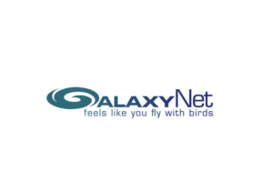 GalaxyNetwork or GalaxyNet | Logo-Design von designA78