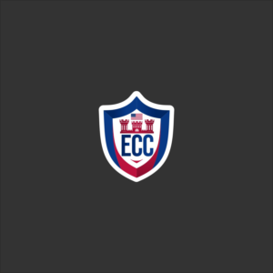 Army Engineer Unit Logo and graphic | Graphic Design by A10