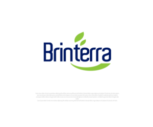 Brinterra | Logo Design by Ng V Duc