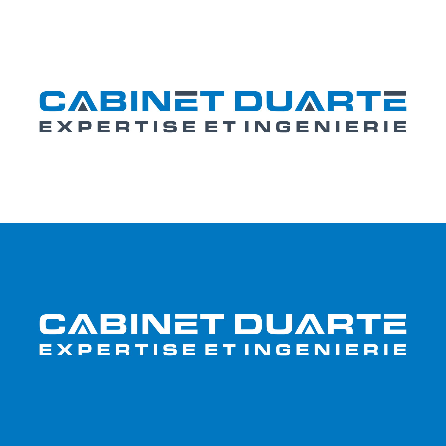 Logo Design by mr.yasmine for this project | Design #25615067