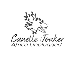 Logo Design by Rafiul