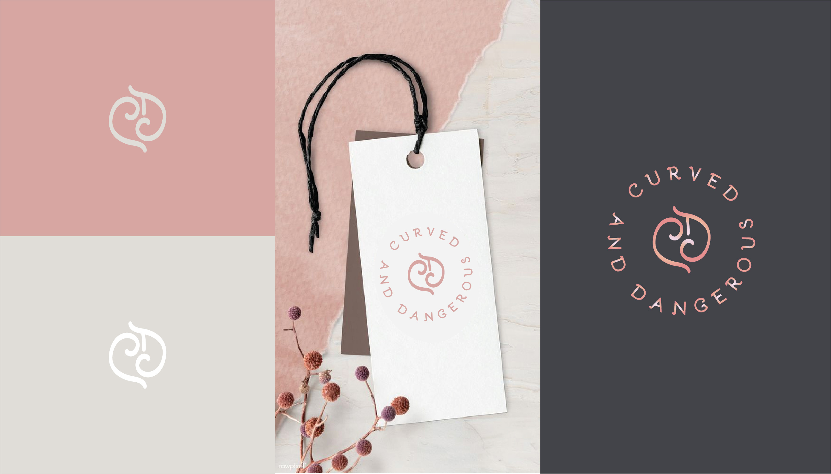 Logo Design by Birdcage for this project | Design #25655819