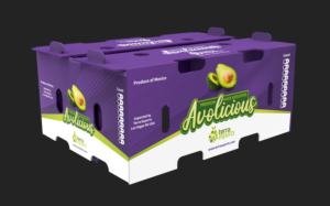 Avocado Wholesale Fruit Box Design (Contest) | Packaging Design by davidsantacruz7