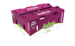 Packaging Design by davidsantacruz7 for this project | Design: #25732401