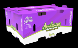 Packaging Design by davidsantacruz7 for this project | Design: #25732420