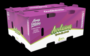 Packaging Design by davidsantacruz7 for this project | Design: #25732421