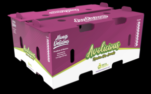Packaging Design by davidsantacruz7 for this project | Design: #25732422