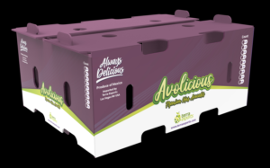 Packaging Design by davidsantacruz7 for this project | Design: #25732423