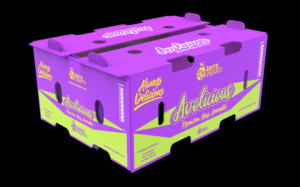 Packaging Design by davidsantacruz7 for this project | Design: #25743497
