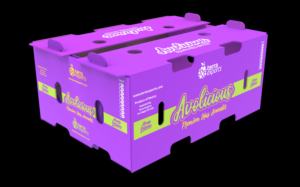 Packaging Design by davidsantacruz7 for this project | Design: #25743498