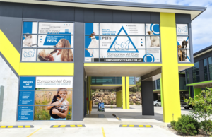 Diseño de Señalética por Deziners Zone para este proyecto | Diseño: #25639664