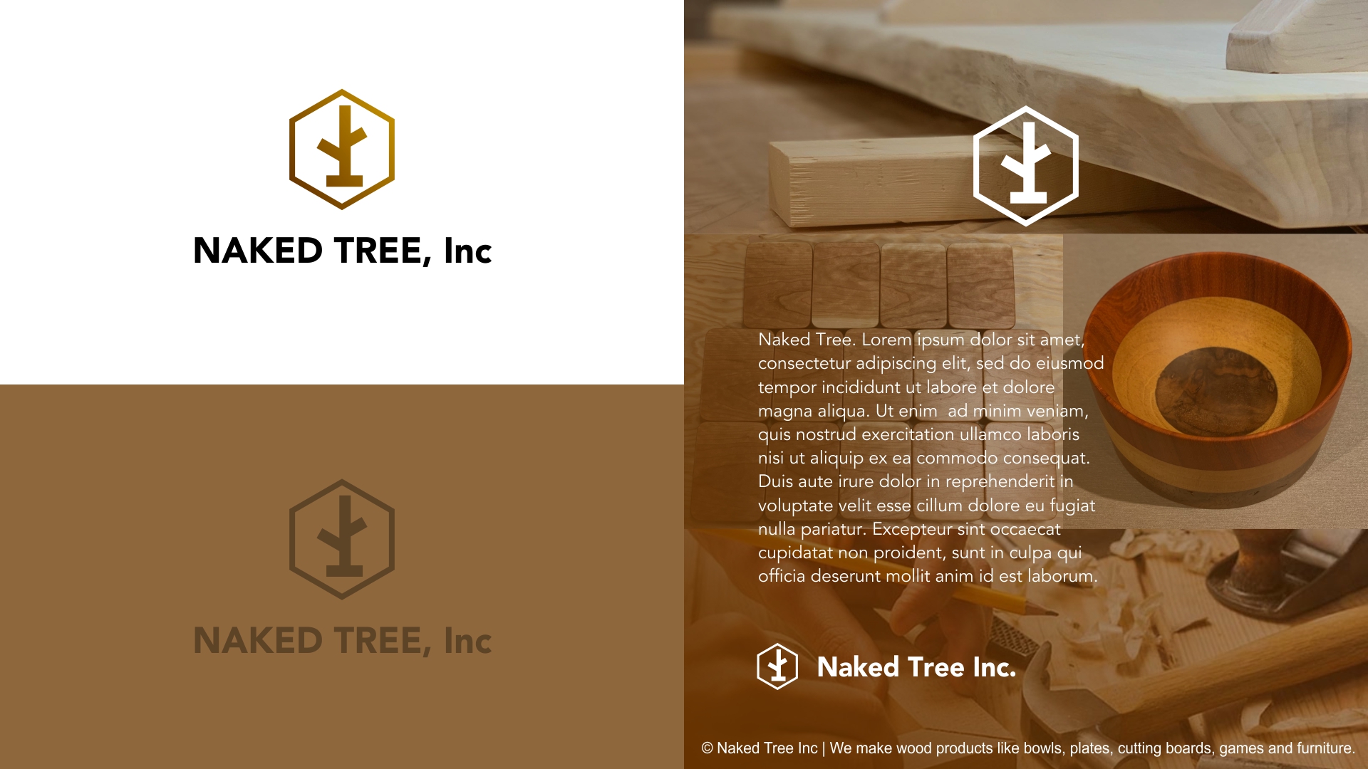Logo Design by cleverlogo for Naked Tree Inc. | Design #25655878