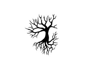 Logo Design by Shagufta Shafiq for Naked Tree Inc. | Design: #25811925