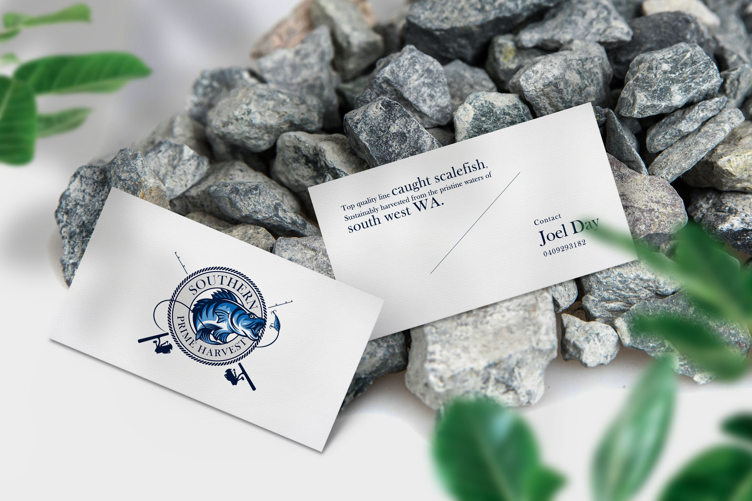 Business Card Design by SyncFuse™ Solutions for this project | Design #25636193