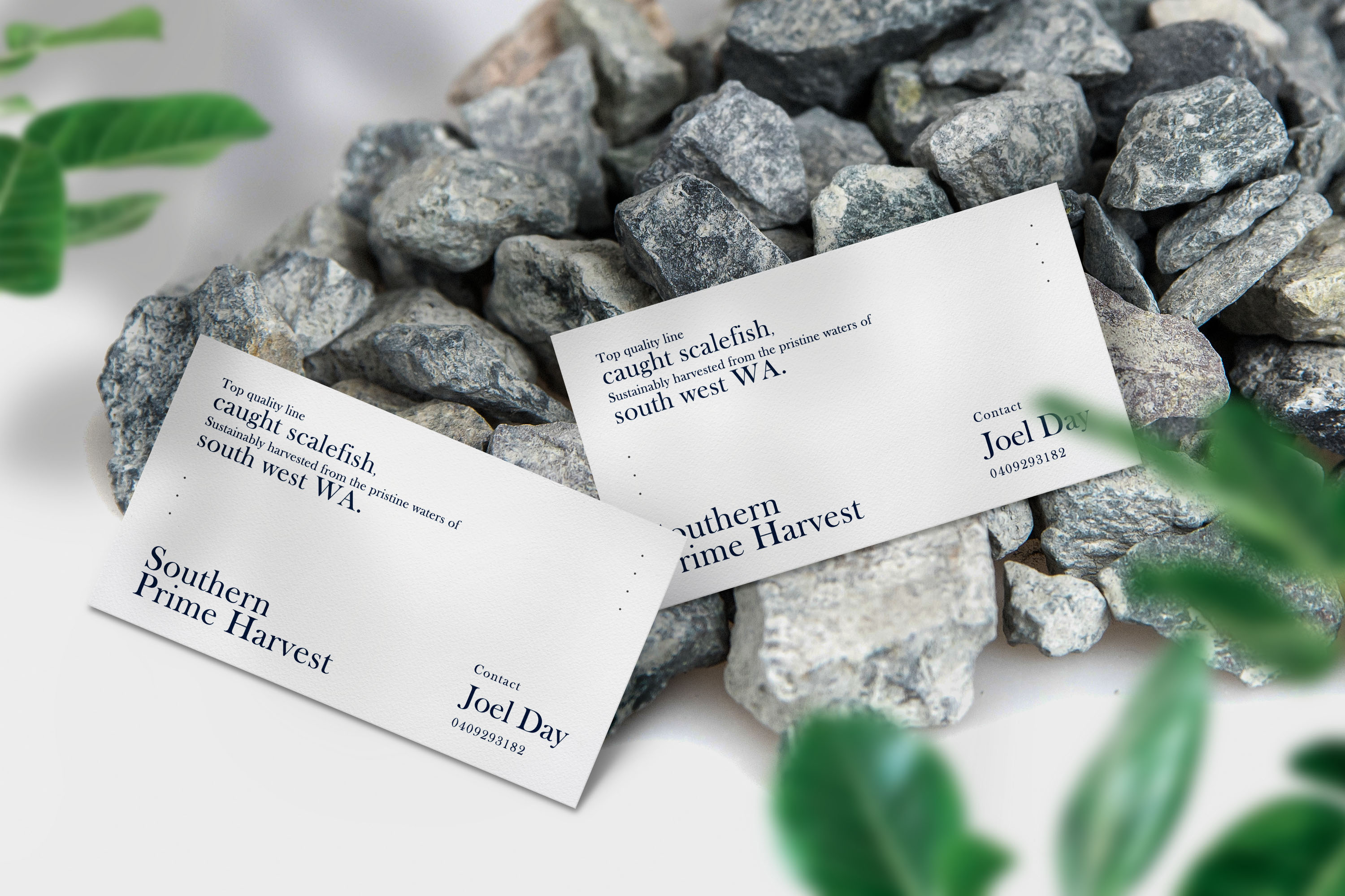 Business Card Design by SyncFuse™ Solutions for this project | Design #25636238