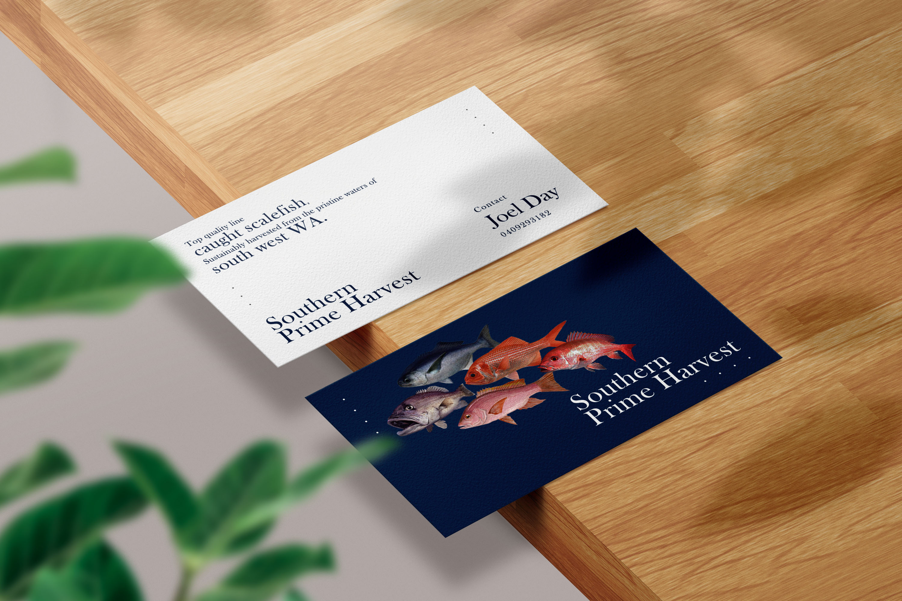 Business Card Design by SyncFuse™ Solutions for this project | Design #25638016