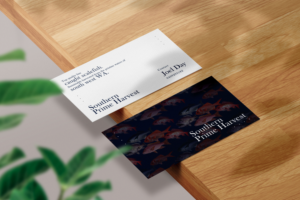 Visitenkarten-Design von SyncFuse™ Solutions für dieses Projekt | Design #25638124