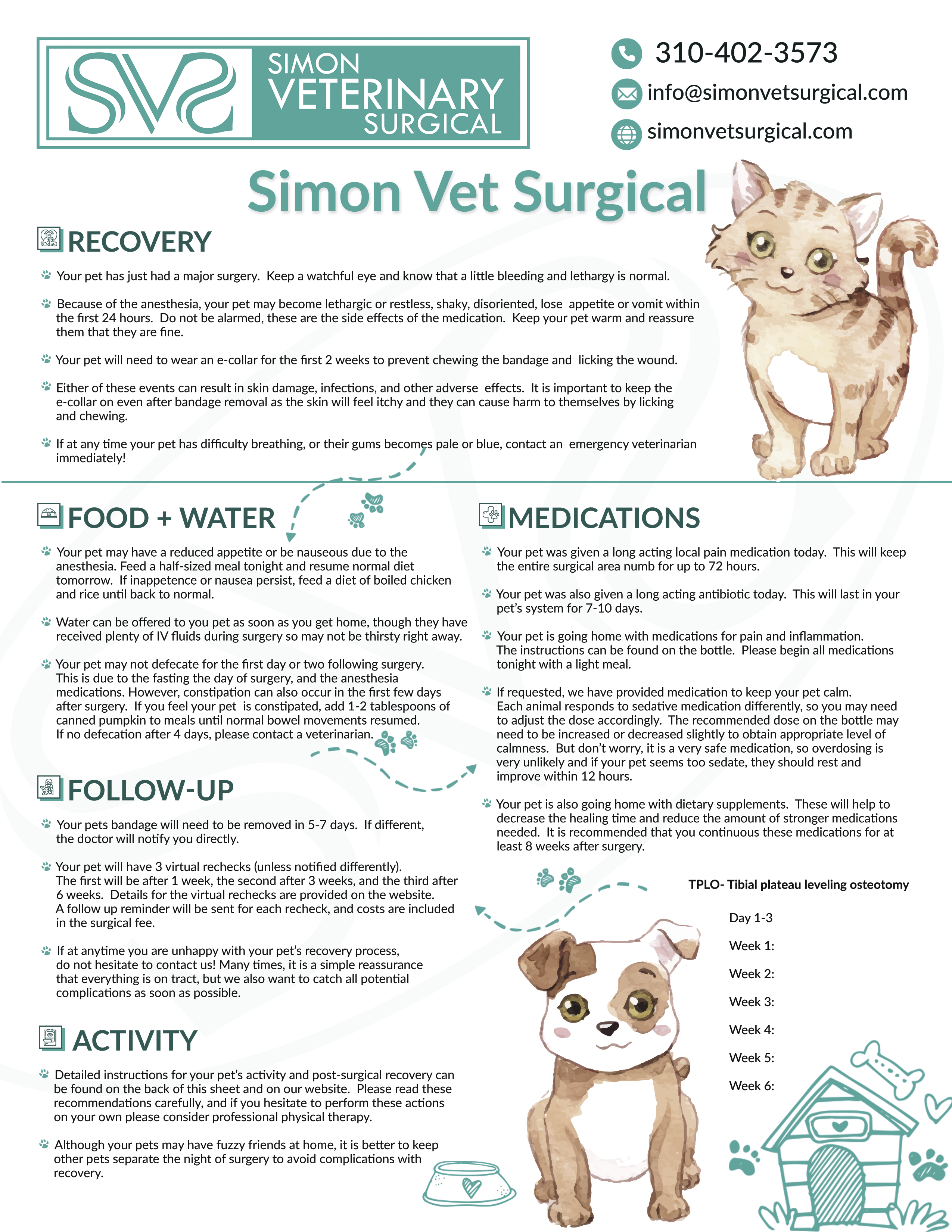 Flyer Design by tanya_gaysina59 for this project | Design #25737759