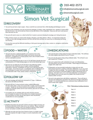 Flyer Design by tanya_gaysina59