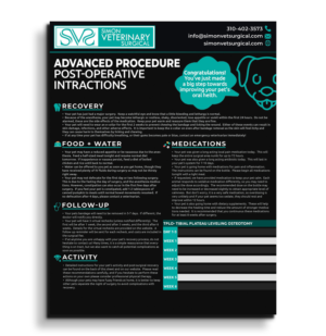Flyer Design by Shamim_Design for this project | Design: #25692289