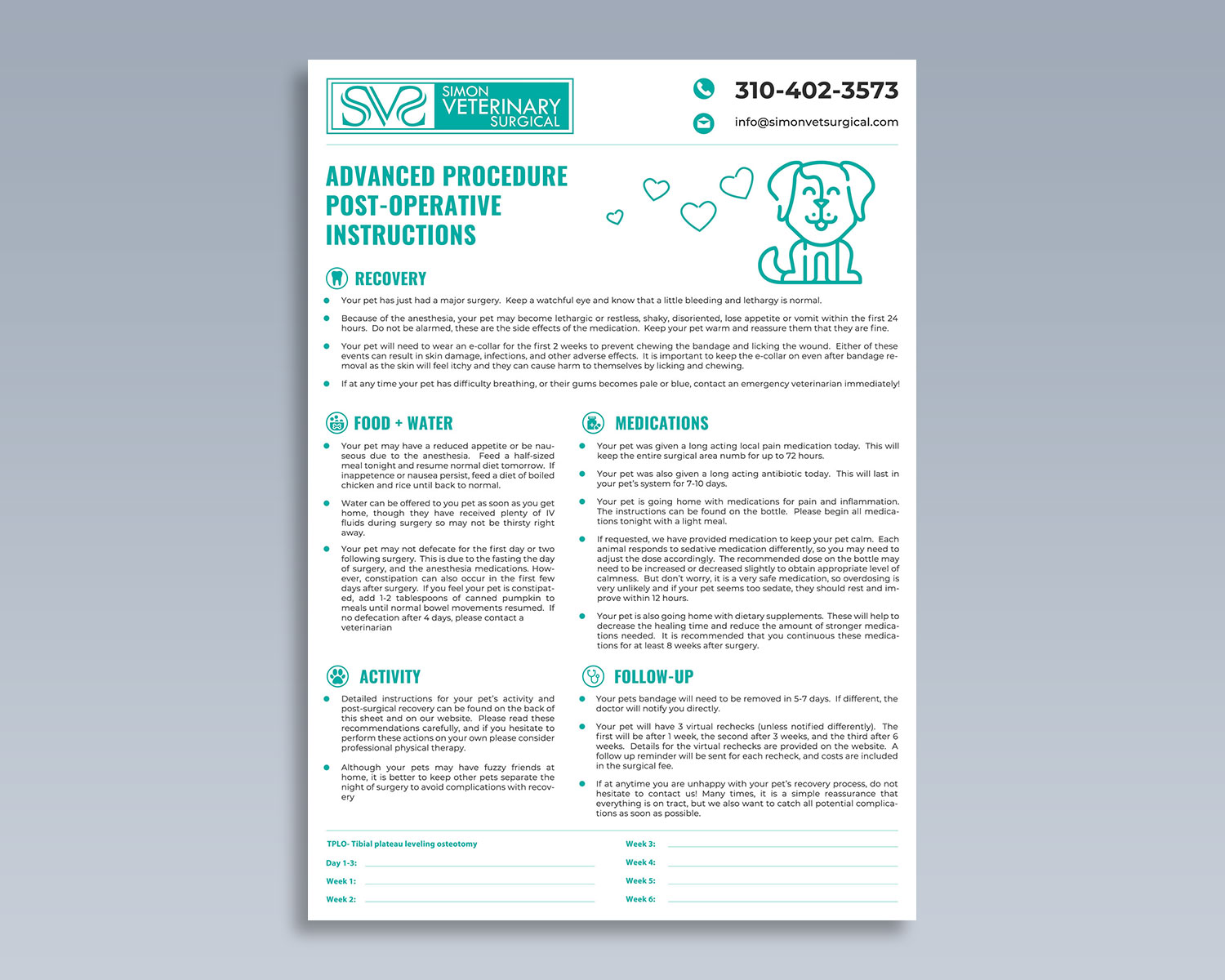 Flyer Design by Asiful_udoy for this project | Design #25699405