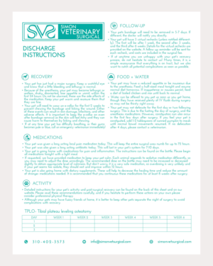 Flyer Design by senja for this project | Design: #25711684